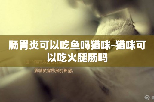 肠胃炎可以吃鱼吗猫咪-猫咪可以吃火腿肠吗